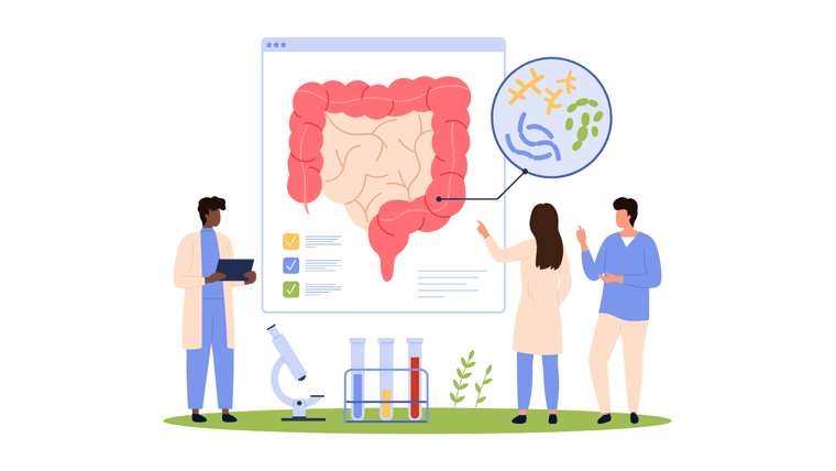 Illustration: Ärztinnen und Ärzte analysieren das Darmmikrobiom